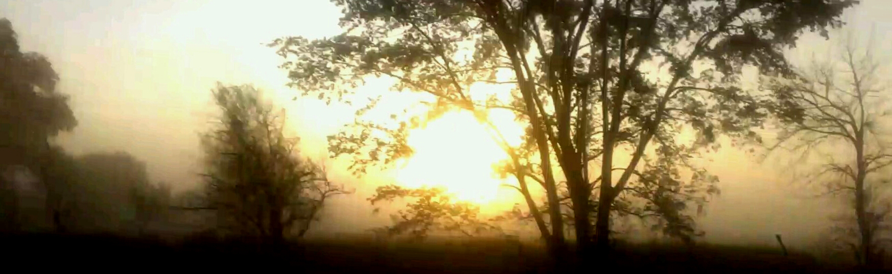 Foggy.Morning.jpg - undefined by Glenn Krieger